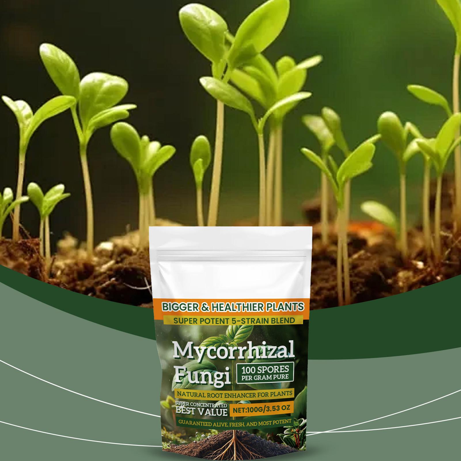 Roots Nutrition & Fitness Inglewood Photos - مسحوق معزز للجذور 100 جرام، تركيبة