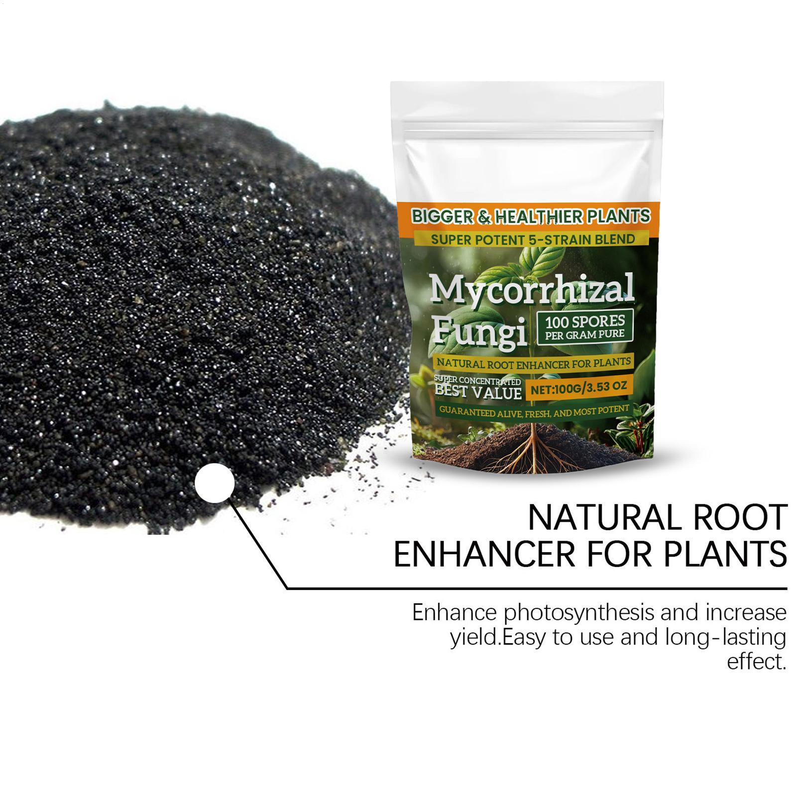 مسحوق معزز للجذور 100 جرام، تر - مراجعة Roots Nutrition & Fitness Inglewood Photos وسعره