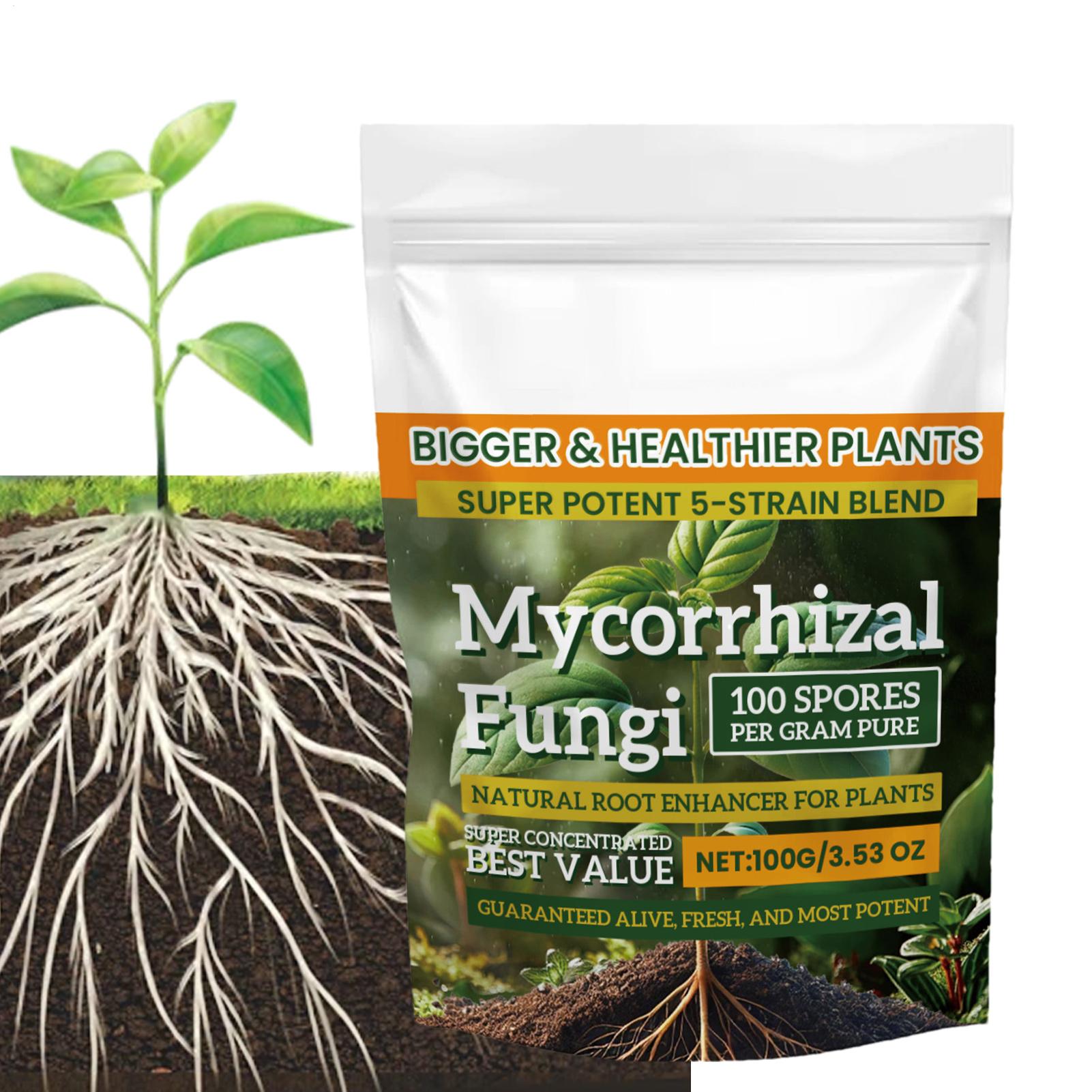 مسحوق معزز للجذور 100 جرام، تر - مراجعة Roots Nutrition & Fitness Inglewood Photos وسعره